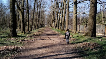Park Podworski (park podworski w Charzewicach)
